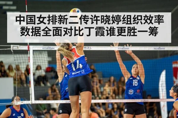中国女排新二传许晓婷组织效率数据全面对比丁霞谁更胜一筹