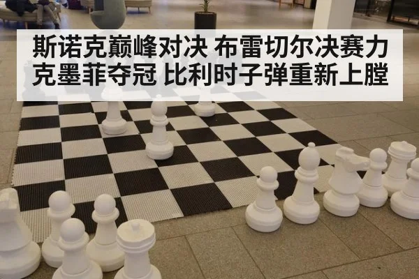 斯诺克巅峰对决 布雷切尔决赛力克墨菲夺冠 比利时子弹重新上膛